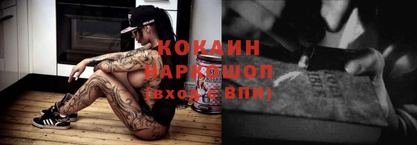 стафф Арсеньев