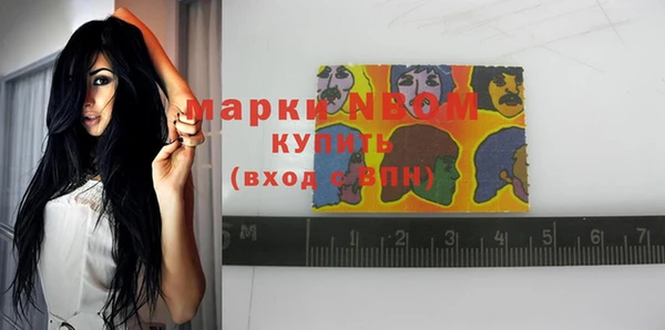 стафф Арсеньев