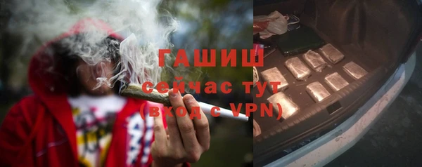 стафф Арсеньев