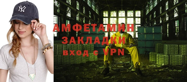 шишки Богородицк