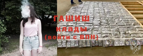 стафф Арсеньев