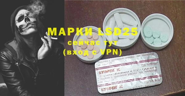 стафф Арсеньев