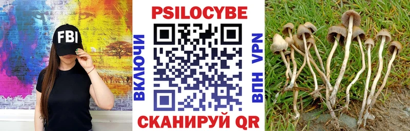 купить закладку  Певек  Галлюциногенные грибы мухоморы 